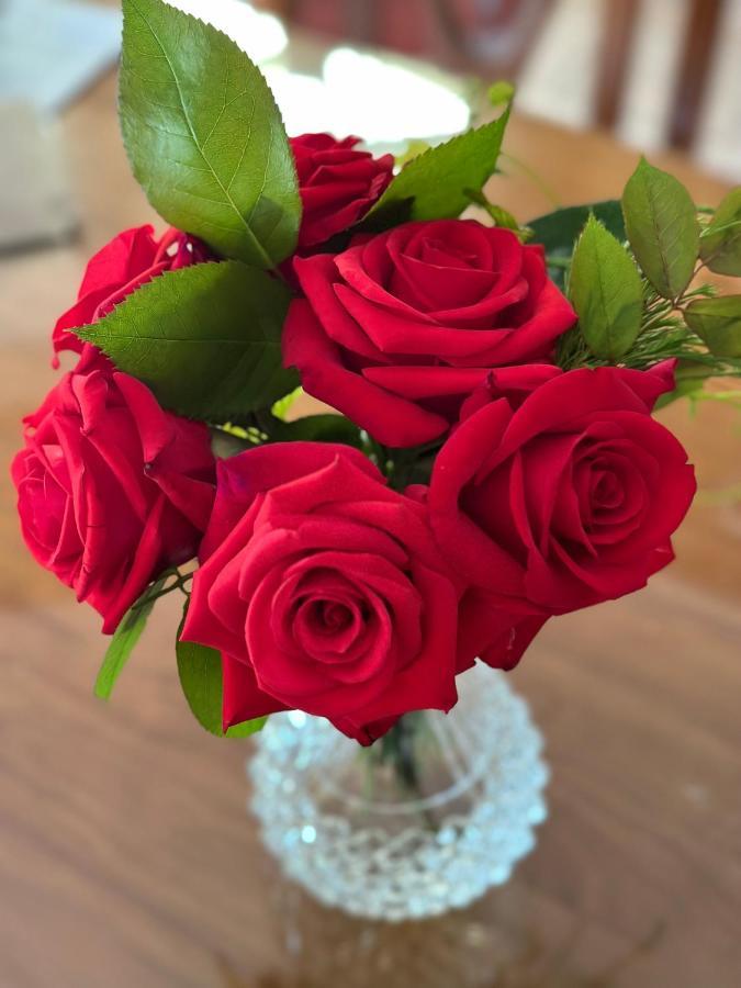 Wine And Roses Bed And Breakfast Аделаида Экстерьер фото